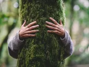Entenda como as árvores podem ajudar na saúde ment