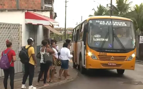Micro-ônibus do sistema complementar vão fazer par