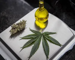Governo de SP tem gasto recorde com cannabis medicinal para atendimento a decisões judiciais