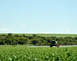 Senado aprova projeto de agrotóxicos, apelidado por ambientalistas de PL do Veneno