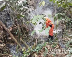 Cerca de 200 bombeiros atuam no combate a incêndios florestais na Bahia