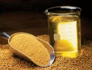 Resíduos da produção de óleo de soja podem gerar p