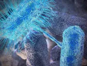 Cientistas descobrem classe de antibióticos capaz de matar bactérias resistentes