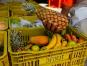 CUFA Bahia recebe mais de 35 toneladas de alimento