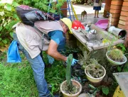 Argentina e Paraguai lutam contra o avanço da deng