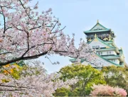 O Encanto do Japão: Descobrindo as Riquezas Cultur