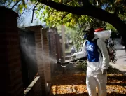 Argentina vive explosão de casos de dengue e invas
