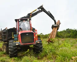 Senai e Bracell inscrevem para curso de formação de profissionais para área florestal na Bahia