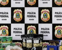 Venda ilegal de munições americanizadas ao Brasil é investigada pela PF