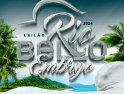 Leilão Nelore Rio Bello 2024 oferece oportunidades
