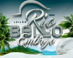 Leilão Nelore Rio Bello 2024 oferece oportunidades exclusivas em Mangaratiba (RJ)