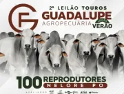 Edição Verão do Leilão Touros Guadalupe Agropecuár