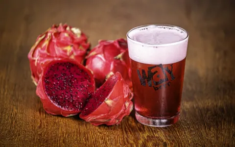 Manga, pitaya e pêssego: cervejaria de Curitiba (PR) ganha destaque com cervejas “exóticas”