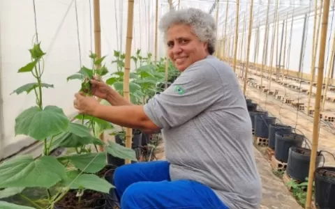 Mulheres na agricultura: histórias de quem faz a d