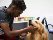 Cão terapeuta ajuda no tratamento de dependentes q
