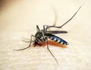 Bahia chega a 21 mortes por dengue no primeiro tri