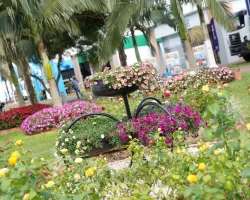 Tecnoshow COMIGO investe R$100 mil em paisagismo e terá 80 mil mudas de flores e plantas variadas