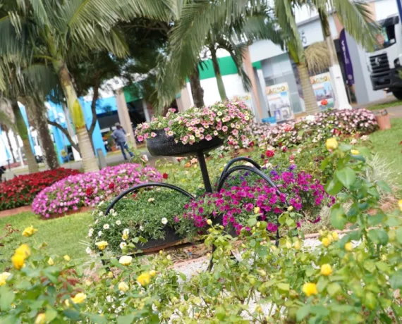 Tecnoshow COMIGO investe R$100 mil em paisagismo e terá 80 mil mudas de flores e plantas variadas
