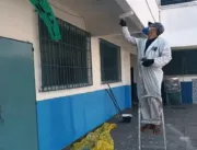 Tinta inseticida vendida no Brasil mata mosquito t