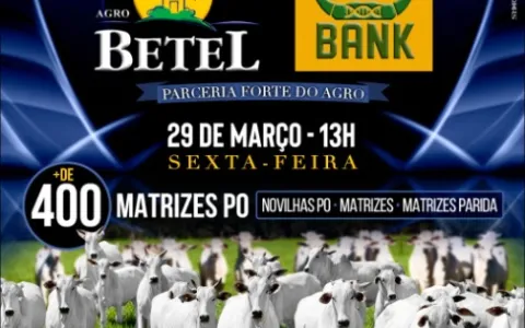 Agro Bank e Agro Betel promovem o Leilão Pilares d