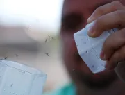 Vírus da dengue e outras arboviroses são rastreada