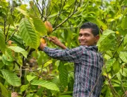 Cofinanciamento impulsiona investimento social privado na Amazônia