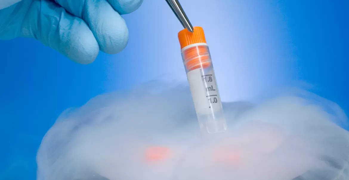 Veja vantagens e riscos do congelamento de embriõe