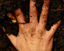 Por que sujar suas mãos com um pouco de terra pode