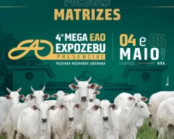 4º Mega Leilão EAO ofertará 62 animais em duas eta