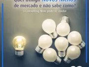 Tradicional consultoria brasileira em gestão e pro