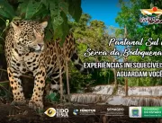 Pantanal Sul e Serra da Bodoquena retomam as ativi
