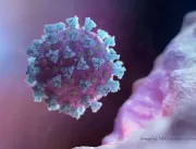 Cientistas do Chile estudam mutação do coronavírus