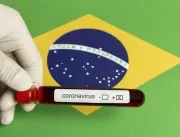 Panorama da pandemia de coronavírus no Brasil