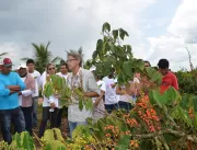 Bebidas Poty incentiva plantio de guaraná na agric