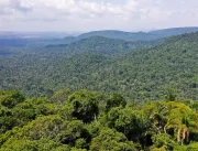 Inpe: desmatamento na Amazônia Legal tem aumento d