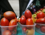 Tomate fica até 133% mais caro e chega a custar R$