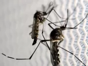 Fiocruz indica pontos de atenção de dengue no Bras