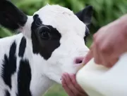 Produtores de leite economizam até 30% com o uso d