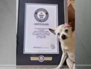 Cadela dos EUA recebe o título de mais velha do mu