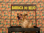 Pets ganham festa junina em shopping de Goiânia