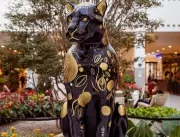 Últimos dias da Jaguar Parade no Grand Plaza Shopp