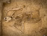 Esqueleto raro da Batalha de Waterloo é descoberto