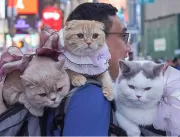 Viajo pelo mundo com 3 gatos nos meus ombros