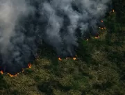 Incêndios na Amazônia brasileira aumentaram em jul