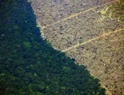 Sob Bolsonaro, desmatamento atinge bolsões antes p
