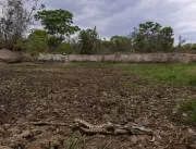 Promotoria diz que mudanças na Lei do Pantanal fer