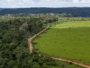 Um terço de todo o desmatamento do Brasil desde 15