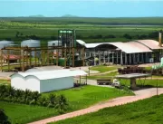 Ceará Mirim Agroindustrial investe em recuperação 