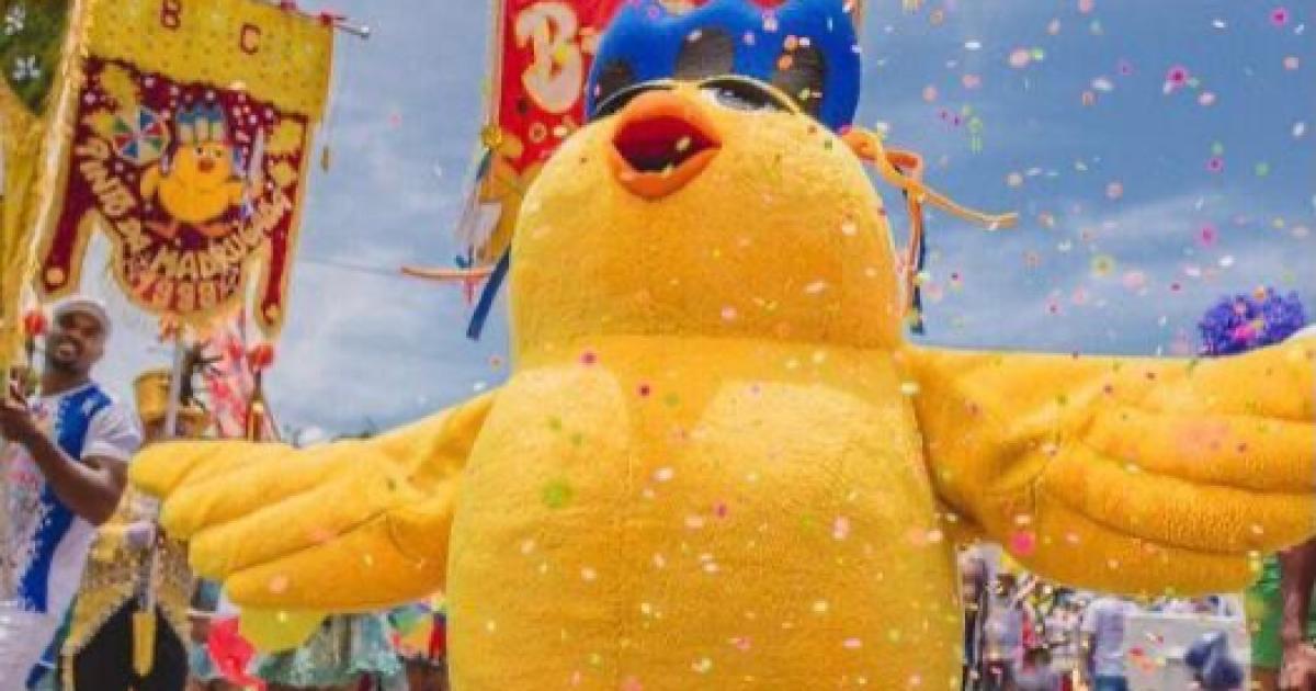 Pinto da Madrugada lança programação em parceria com a Prefeitura de Maceió  e abre prévias do carnaval Compromisso com a verdade Aconteceu BR Notícias