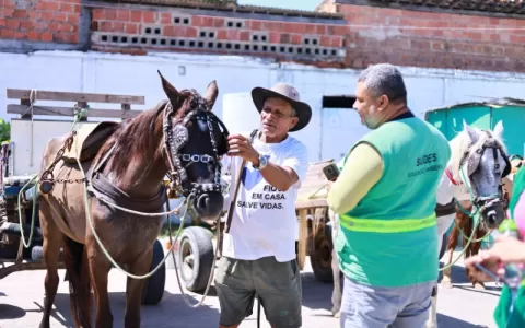 Prefeitura de Maceió beneficia carroceiros com açõ